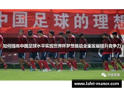 如何提高中国足球水平实现世界杯梦想推动全面发展提升竞争力