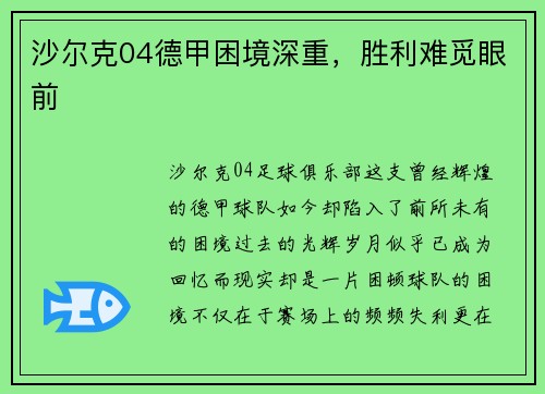 沙尔克04德甲困境深重，胜利难觅眼前